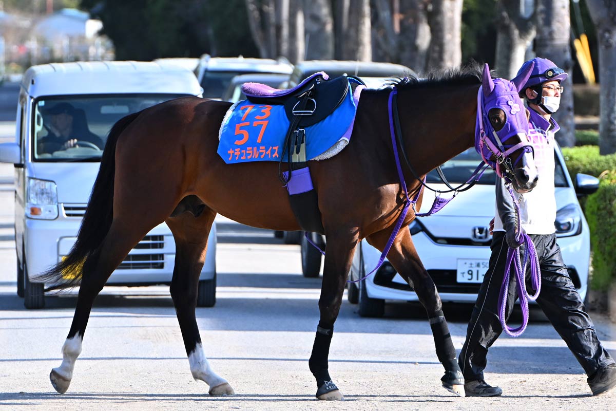 ☆イクイノックス　Cルメールジャパンカップ大パネル東京競馬場デイリー ジャパンカップ】イクイノックス史上初の22億円ホースに！「ポニー