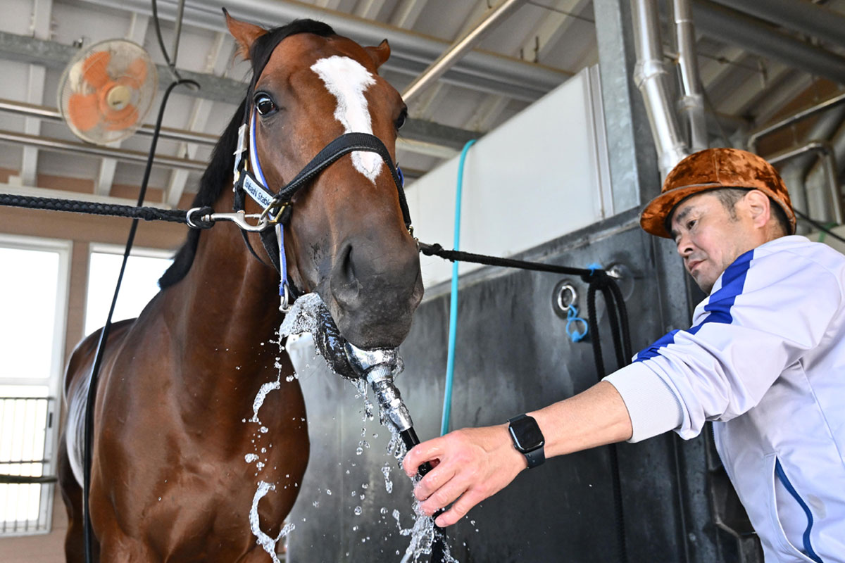 コントレイルの顕彰馬選定記念トークショーで福永祐一調教師が秘話