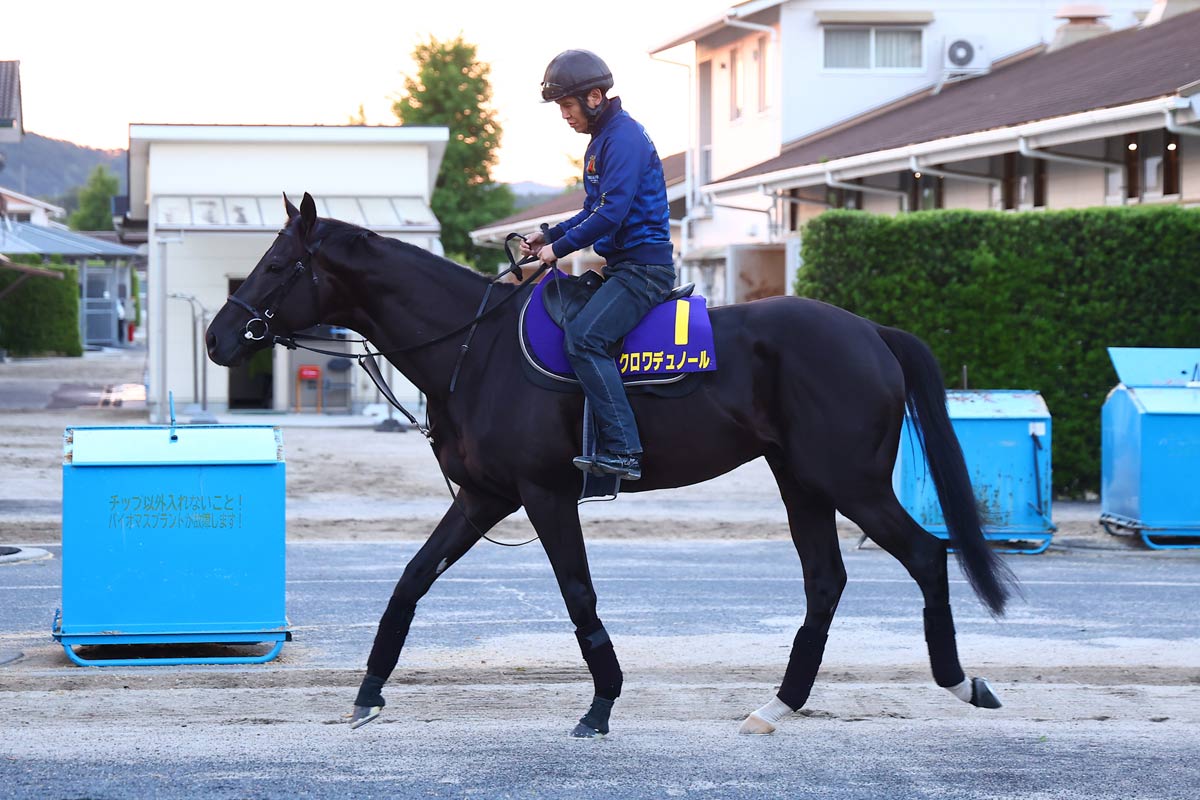 ジャパンC】世界一との叩き合い〝アタマ差〟2着マスカレードボールに