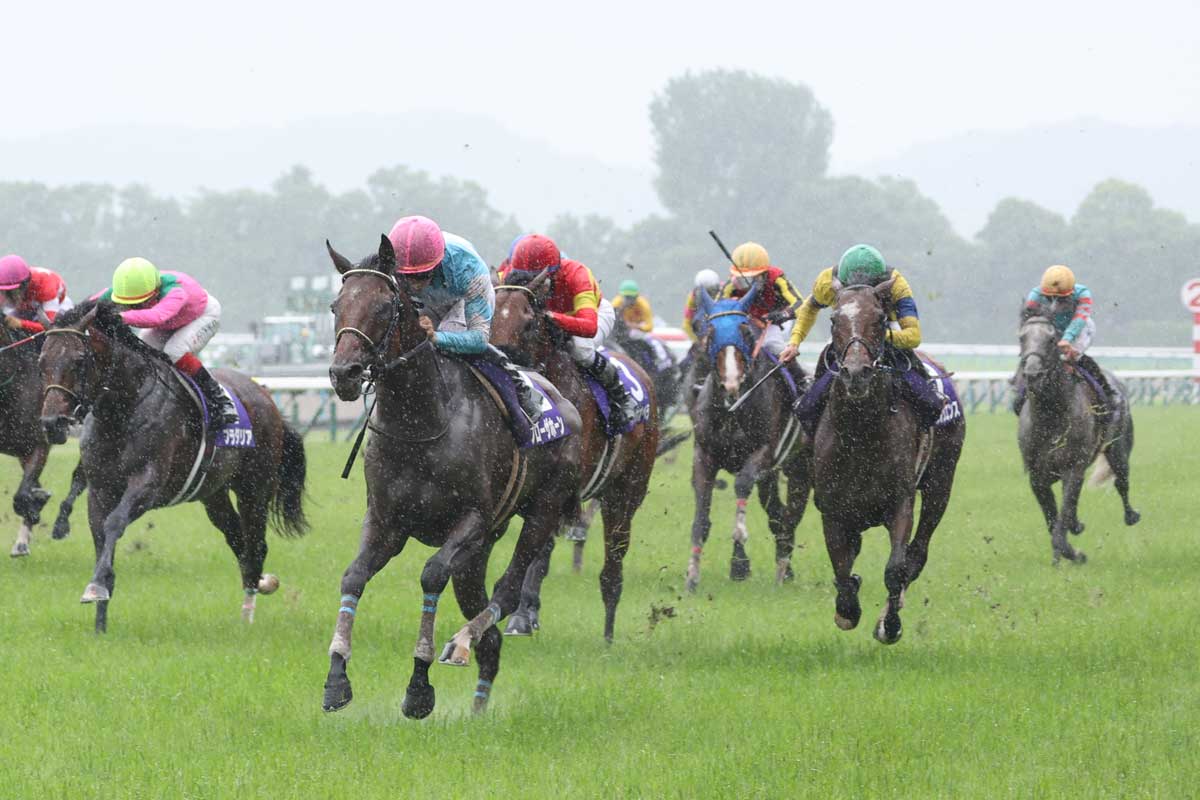 中山グランドジャンプ】王者エコロデュエルが驚異の大差勝ち 草野太郎