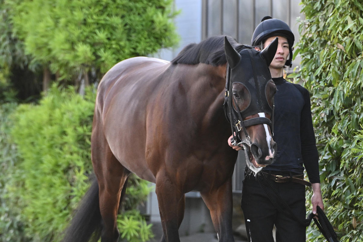 カラクニダケが宮崎県産馬8年ぶりの新馬勝ち 谷潔調教師は
