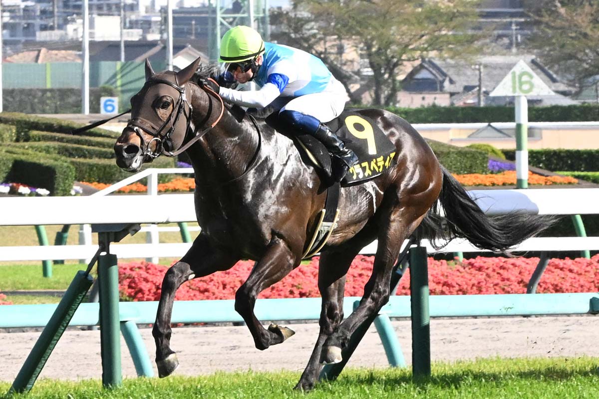 2025年 函館競馬場 函館スプリントS レプリカゼッケン レイべリング