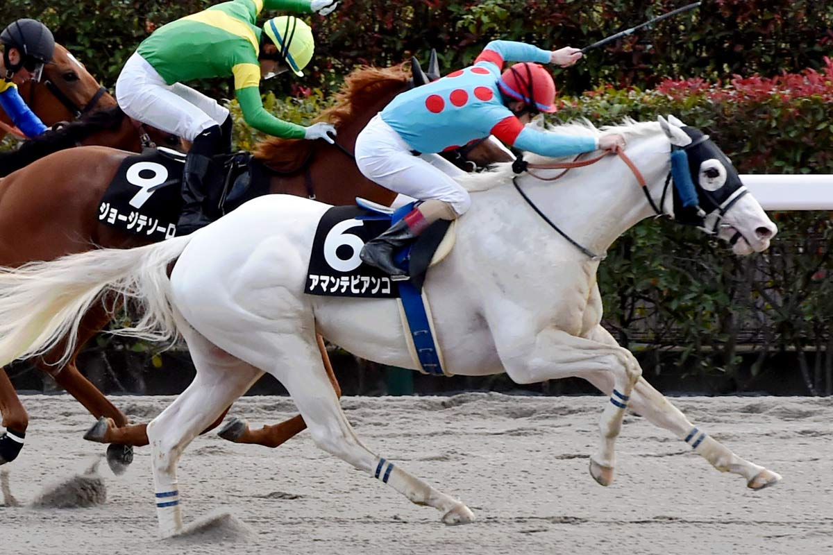 3連単298万円の特大万馬券！ 9番人気エナジーショットが快勝 2着