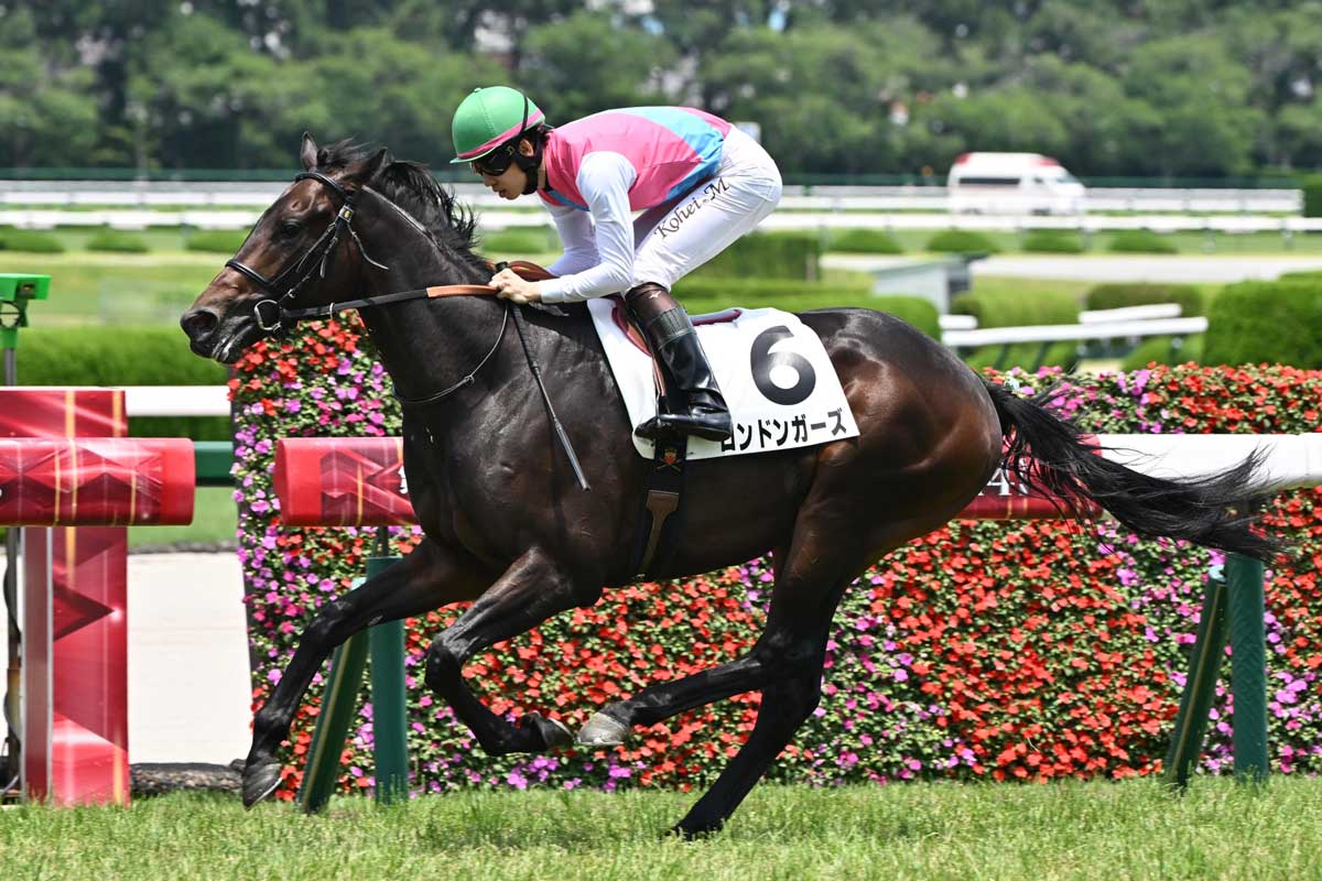 ロンドンガーズが逃げ切って3馬身差で完勝 松山弘平「スピードが違う