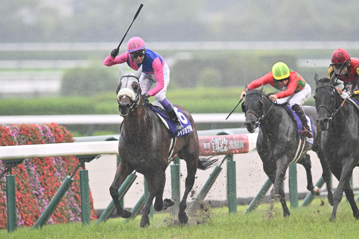 宝塚記念】武豊ジョッキーカメラ公開「フランスのいい練習に」「啓介が