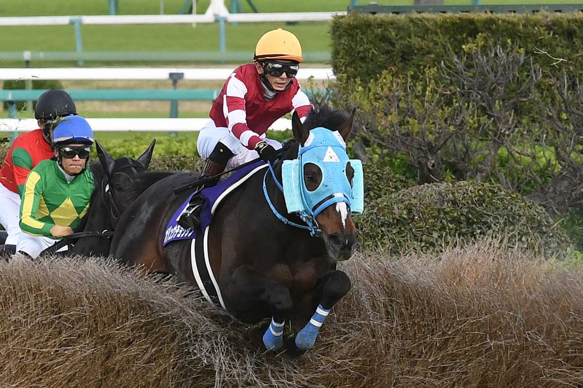 オジュウチョウサンが顕彰馬選出 障害馬ではグランドマーチス以来の