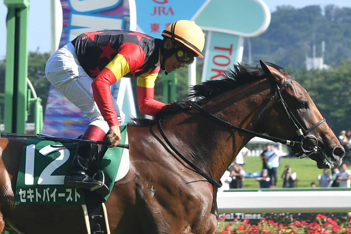 府中牝馬S・厩舎直送】連覇狙うセキトバイーストは心身の成長が顕著