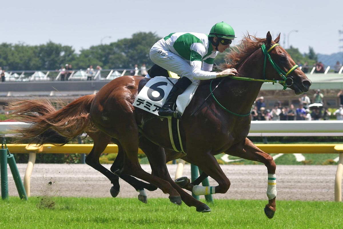 新馬勝ち馬点検】フライトライン産駒の〝世界初勝利〟デミアンの評価は