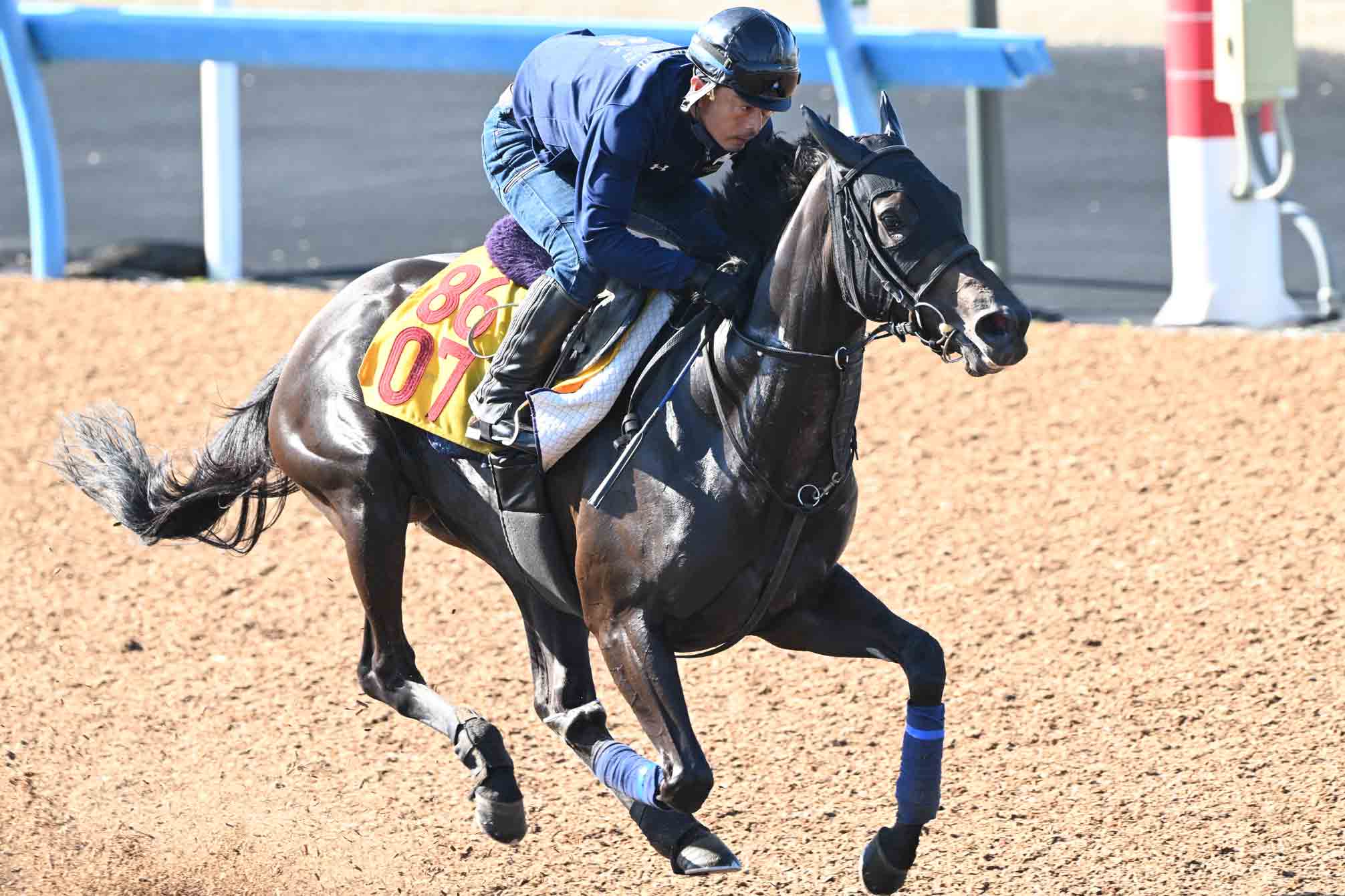 皐月賞結果＆コメント】ロブチェンが逃げ切り2度目のGⅠ制覇 松山弘平