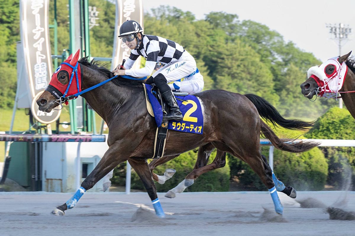 佐賀競馬・吉野ヶ里記念】果敢に挑む3歳馬ラウダーティオ 倉富隆一郎