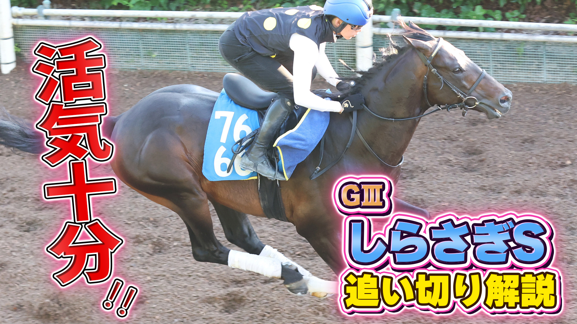 桜花賞2026】アランカール・斉藤崇史調教「精神面もしっかりして瞬発