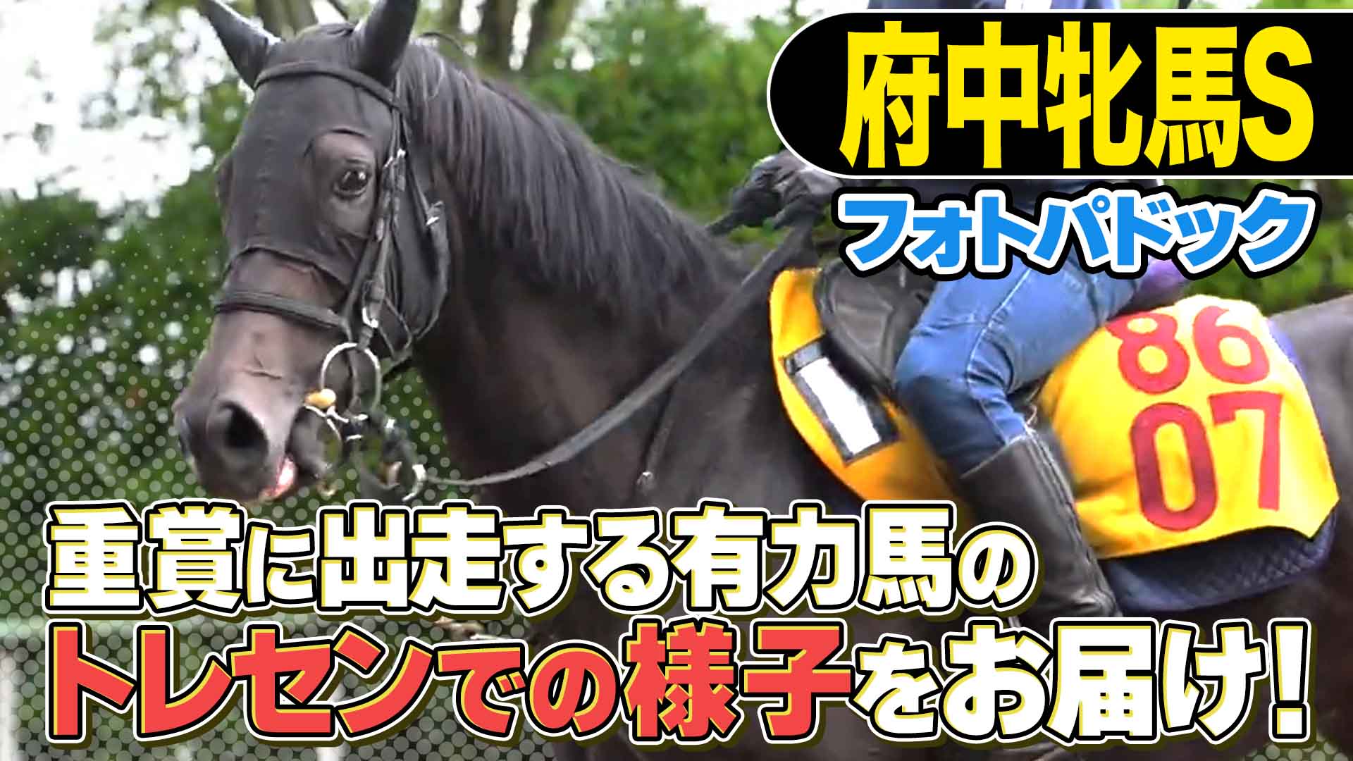 伝説の皐月賞162万馬券的中】爆笑田中が800万円払い戻した聖地