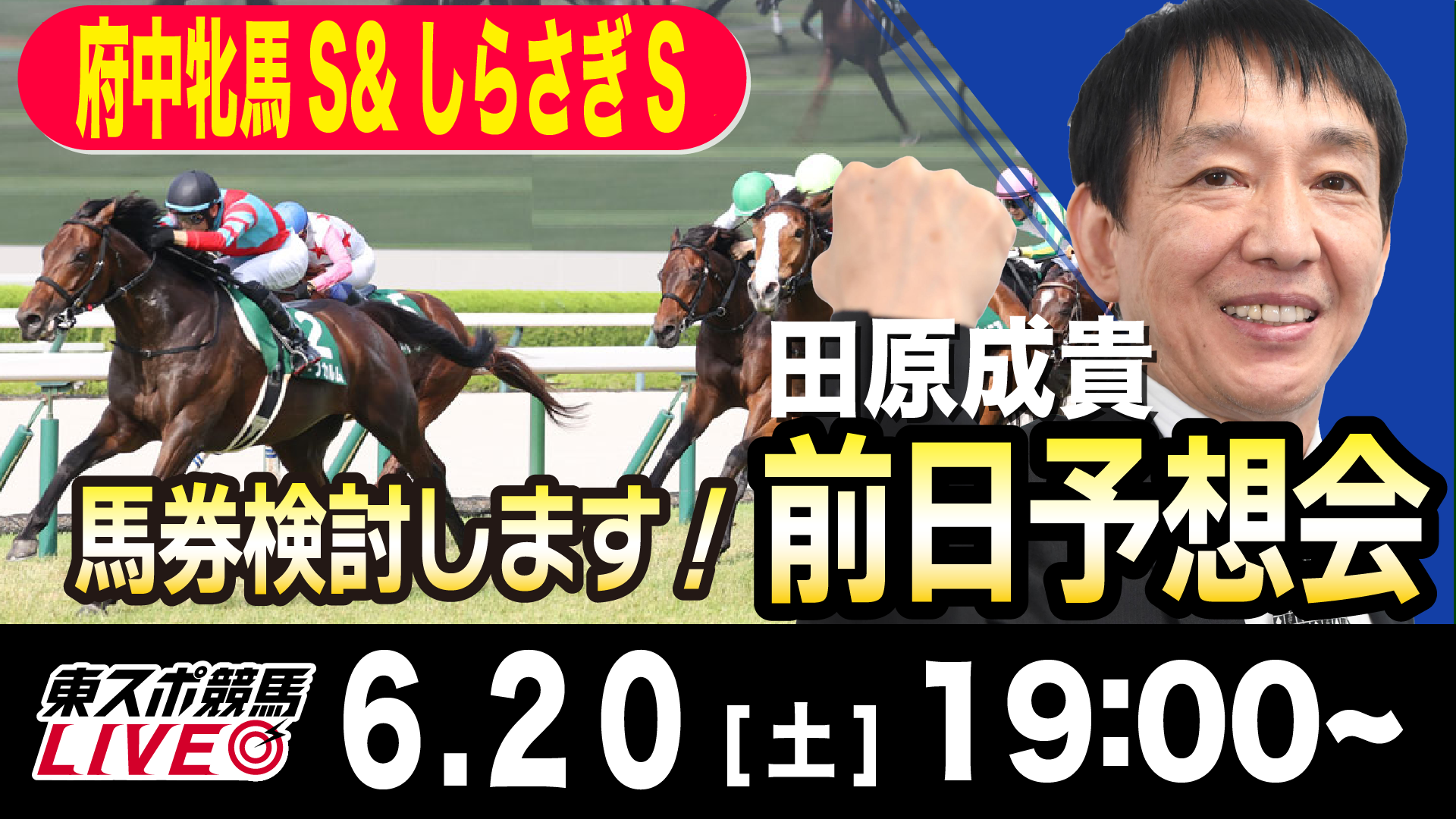メジロマックイーン 1994年JRA顕彰馬（殿堂） | 競馬関連動画