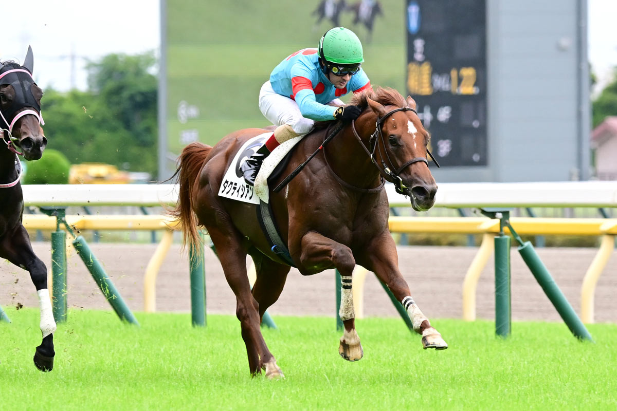 中山記念】パンサラッサ「逃げたら強い」を実証する2馬身半差完勝劇