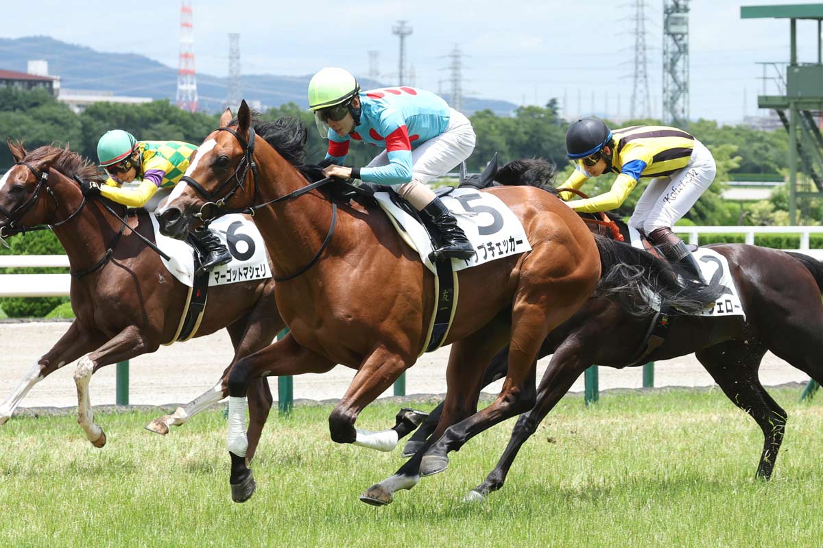 1996年中山記念】おいしすぎる！単勝19・5倍 サクラローレルの