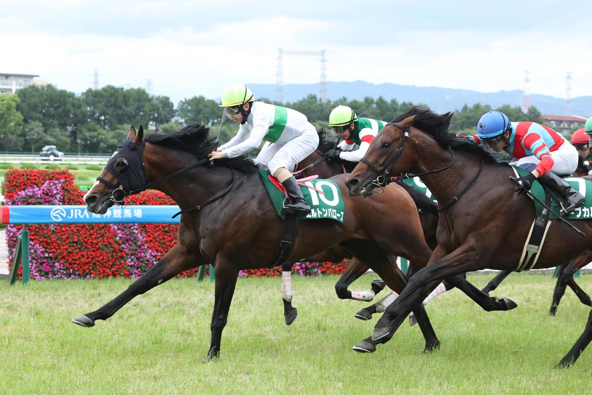 3連単298万円の特大万馬券！ 9番人気エナジーショットが快勝 2着