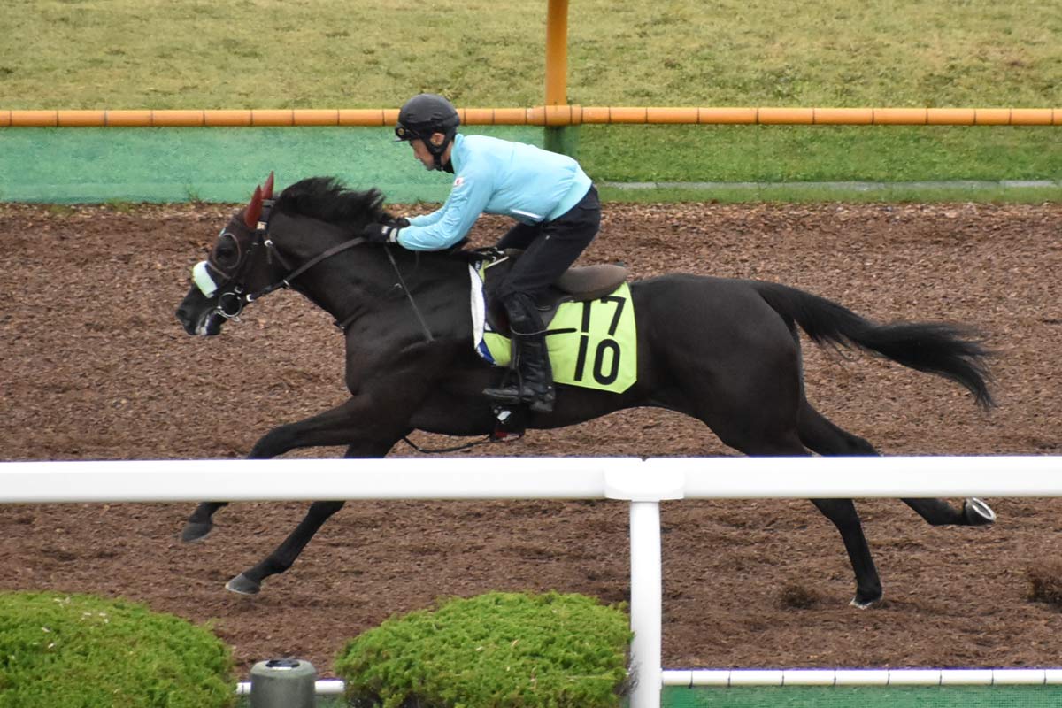 武豊×サイレンススズカ 伝説の金鯱賞〝復刻馬券〟にファン歓喜「絶対に