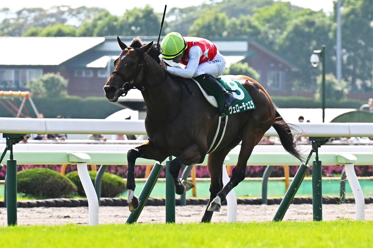 スペシャルウィークが5馬身差の圧勝！有言実行のパフォーマンスで初の