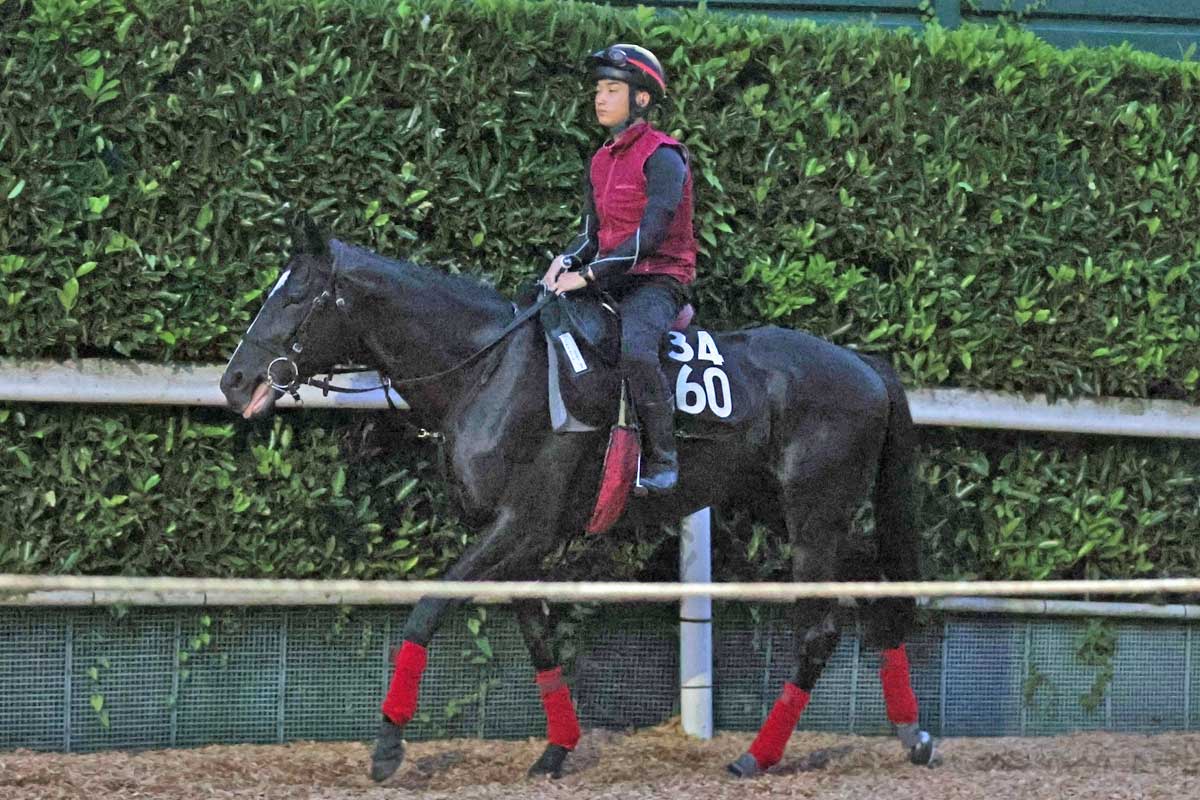 武豊×サイレンススズカ 伝説の金鯱賞〝復刻馬券〟にファン歓喜「絶対に