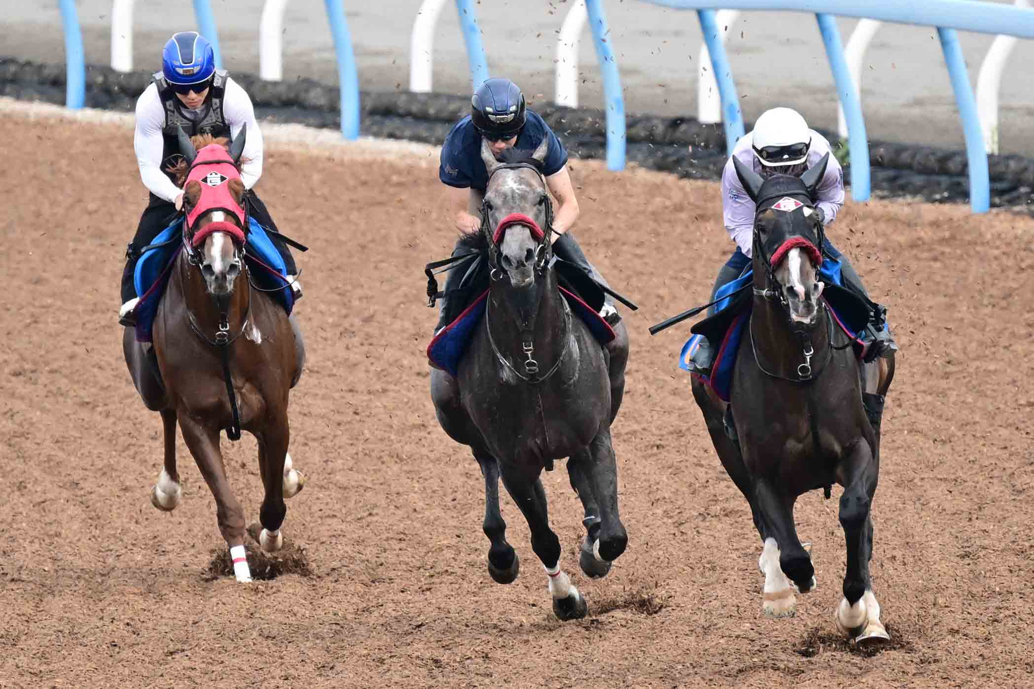 シンザン記念】モノポリオを〝選んだ〟ルメール 自身が手綱を取った