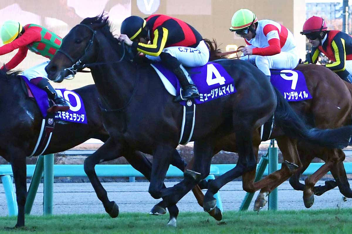 3連単298万円の特大万馬券！ 9番人気エナジーショットが快勝 2着