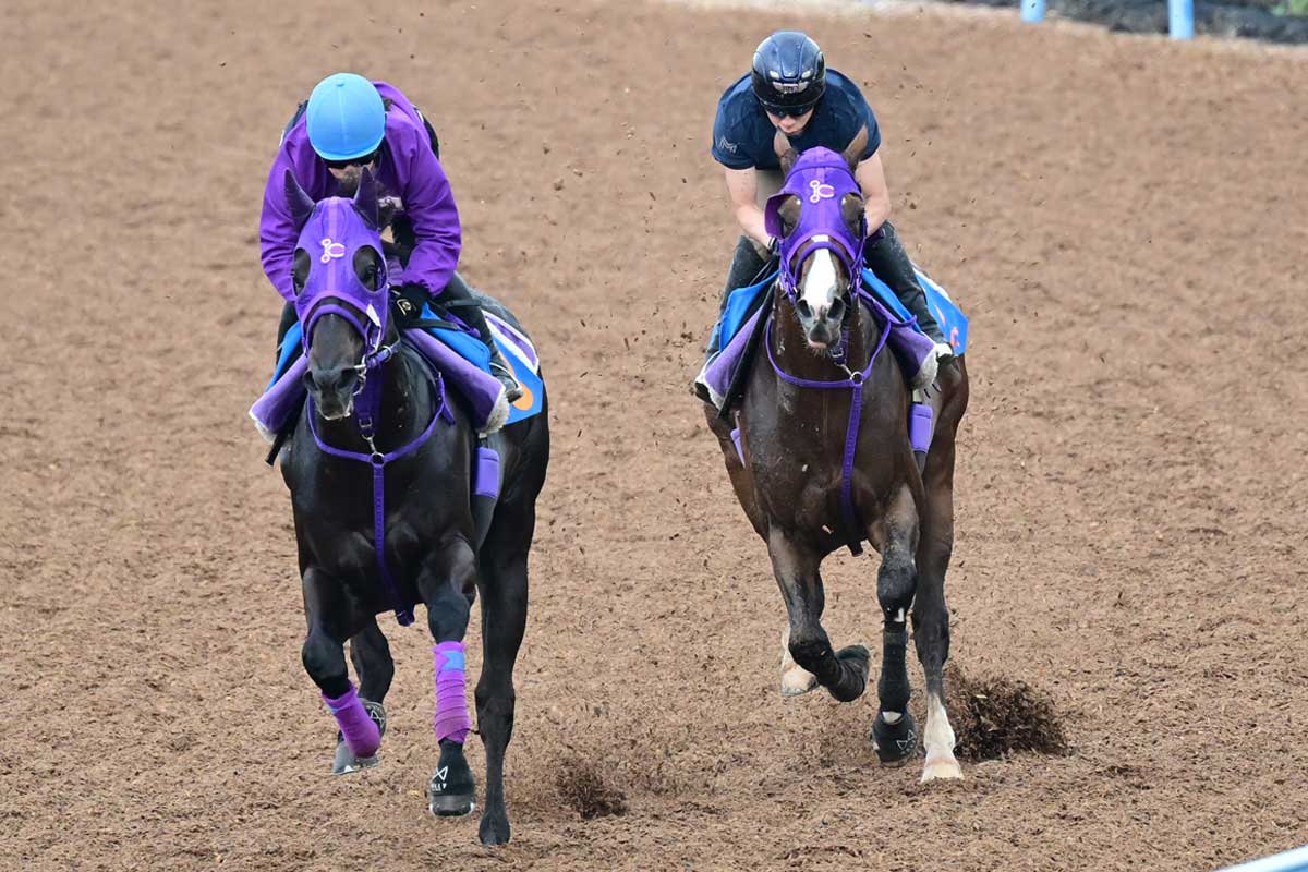 福島記念】有馬記念で大逃げ再び！？ 重賞初Vパンサラッサに矢作師も