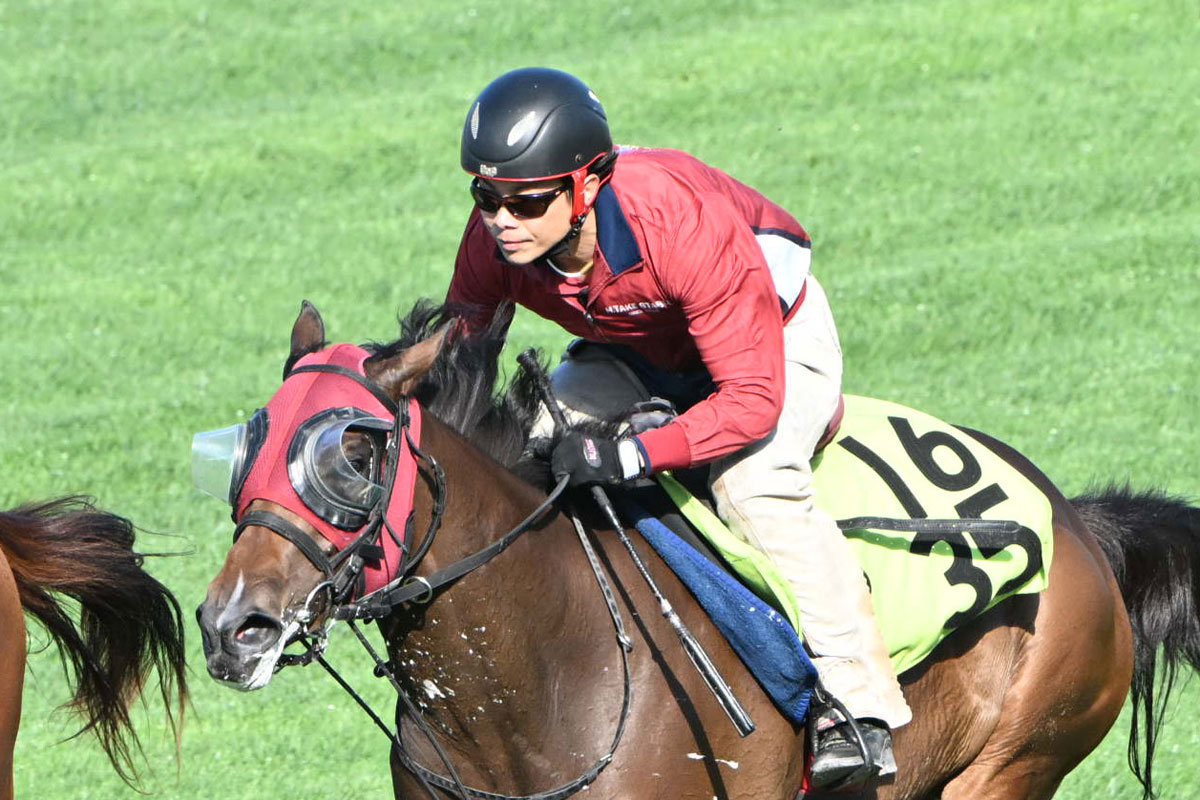 東京大賞典】選定馬の中間発表 回避馬と繰り上がり馬が各1頭 枠順は26