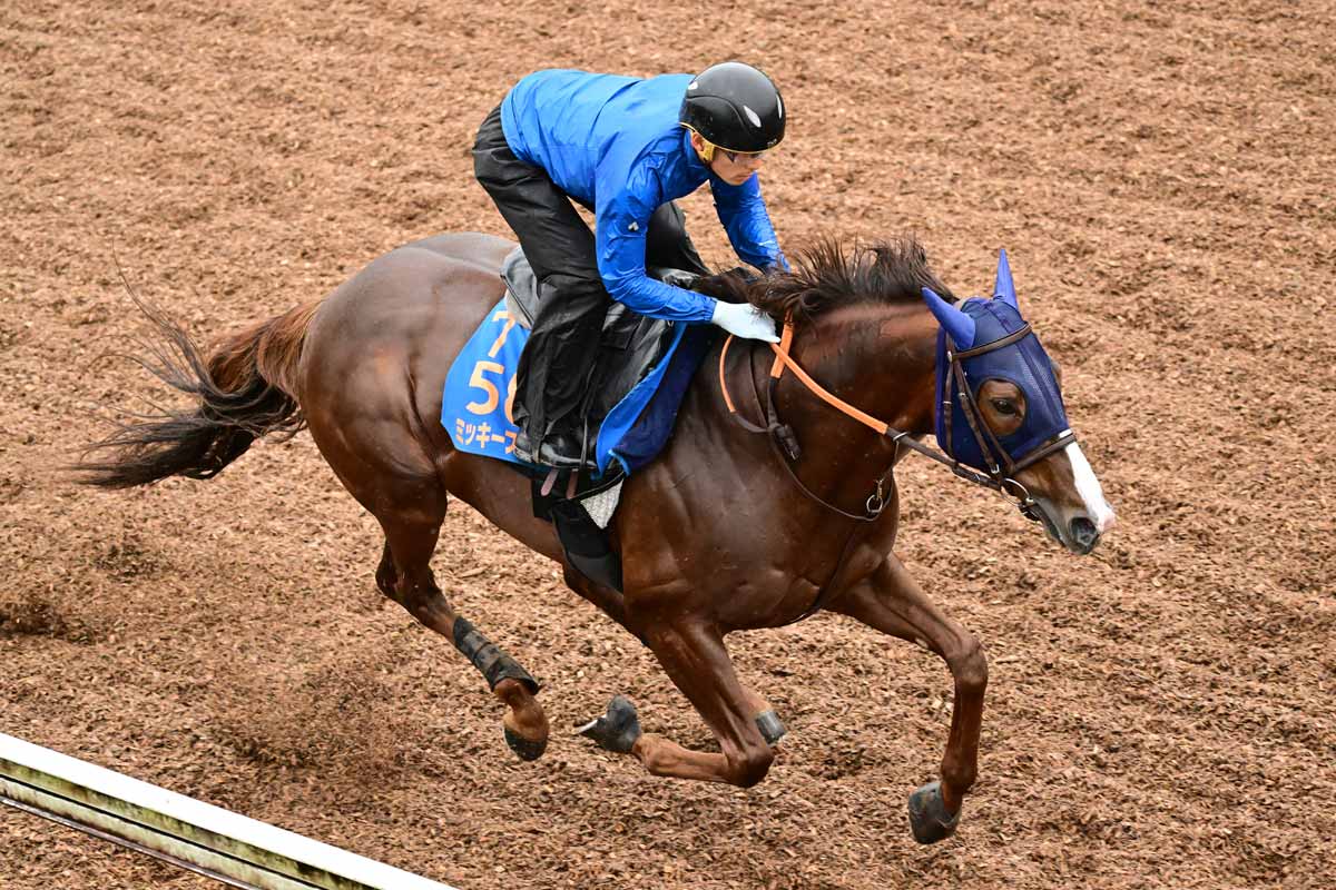 02年皐月賞馬ノーリーズン死す 25歳 抽選突破から単勝万馬券での劇