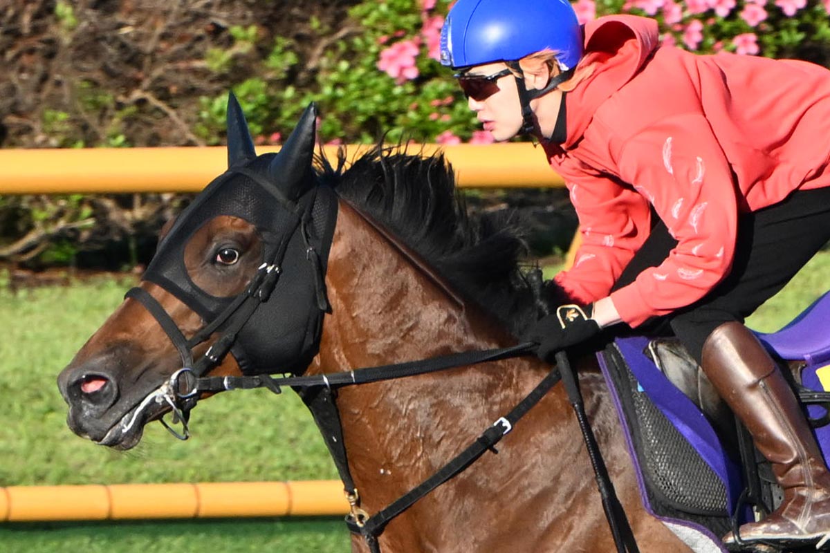 スティルインラブ一覧 | 競馬ニュース・特集なら東スポ競馬