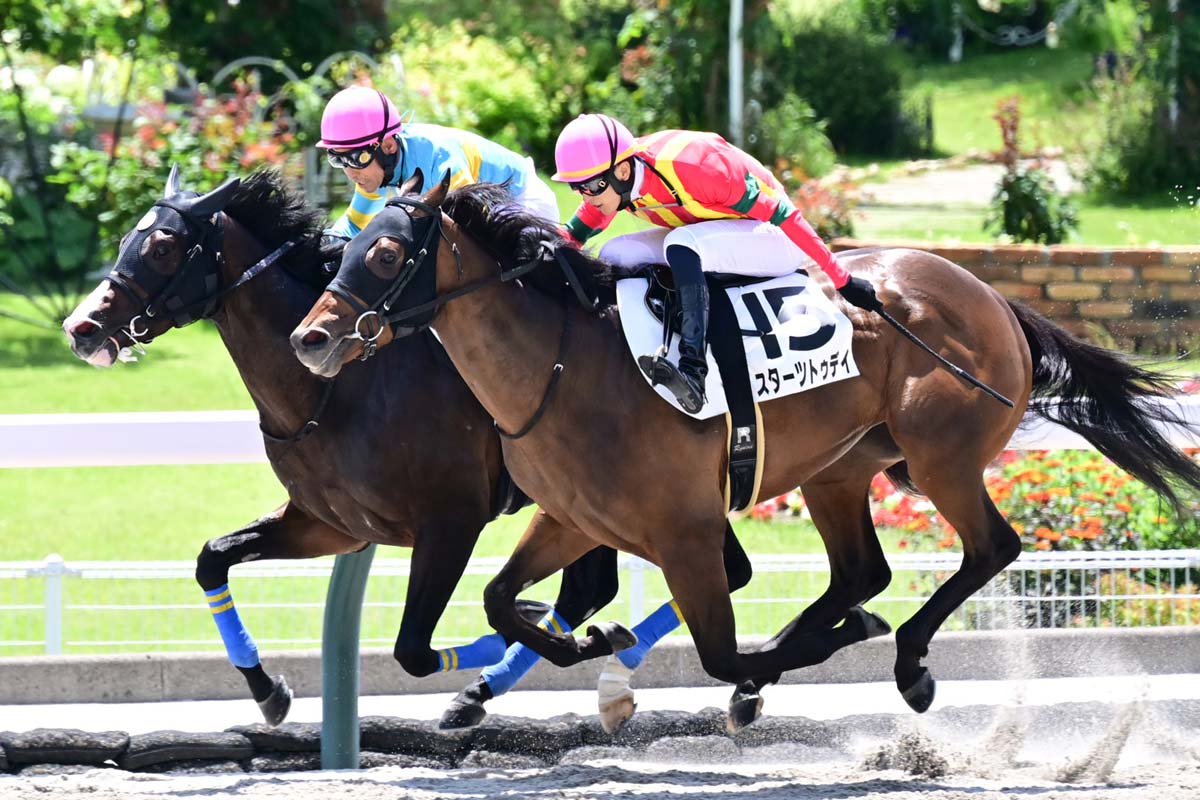 東京大賞典】選定馬の中間発表 回避馬と繰り上がり馬が各1頭 枠順は26