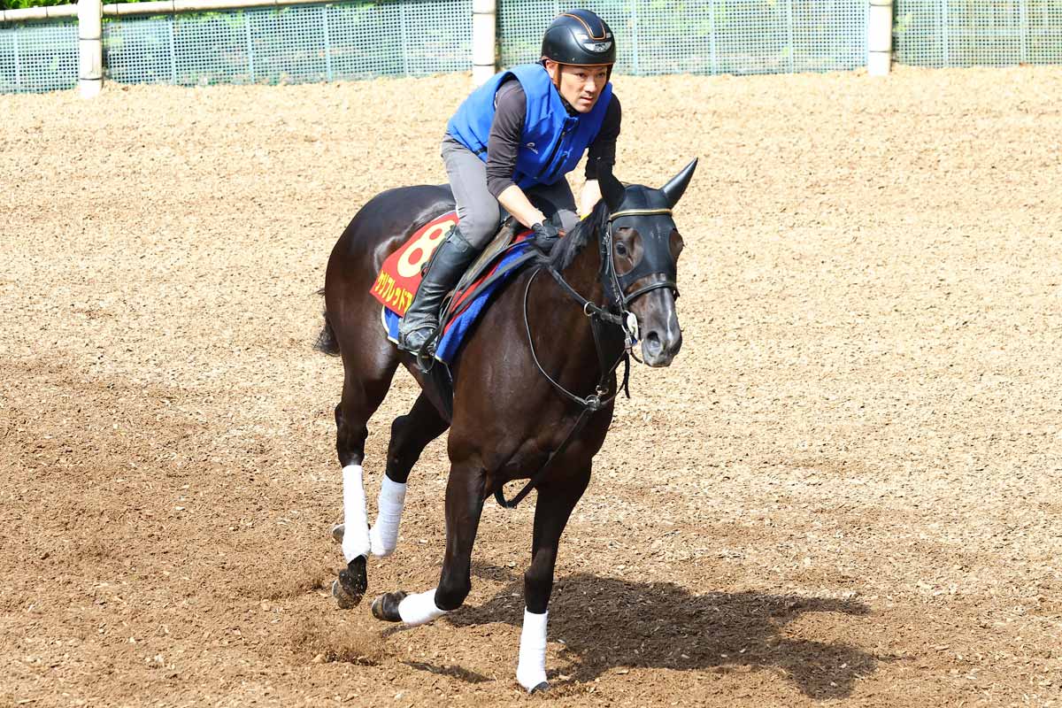 1998年有馬記念】「単勝14・5倍」のグラスワンダーが〝超早熟