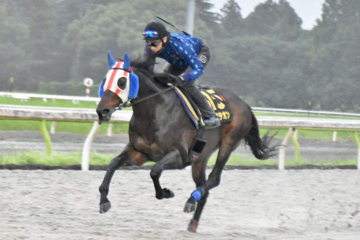 【期限切れ単複馬券】　2歳未勝利　ドゥラメンテ　ウマ娘 セレクトセール2022】「ウマ娘」藤田晋氏が今年も高額落札！ ドゥ