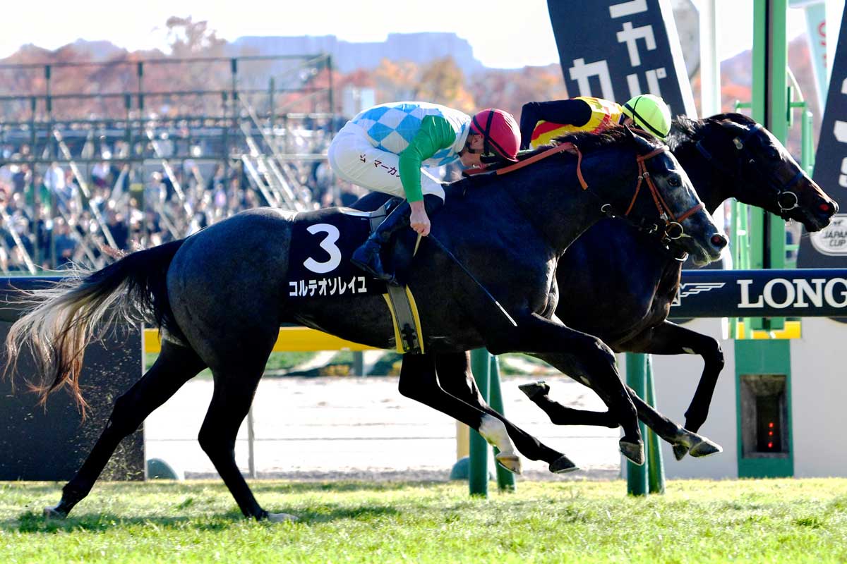 2021年GⅠプレイバック】ジャパンカップ 5冠の感動を胸に…コン