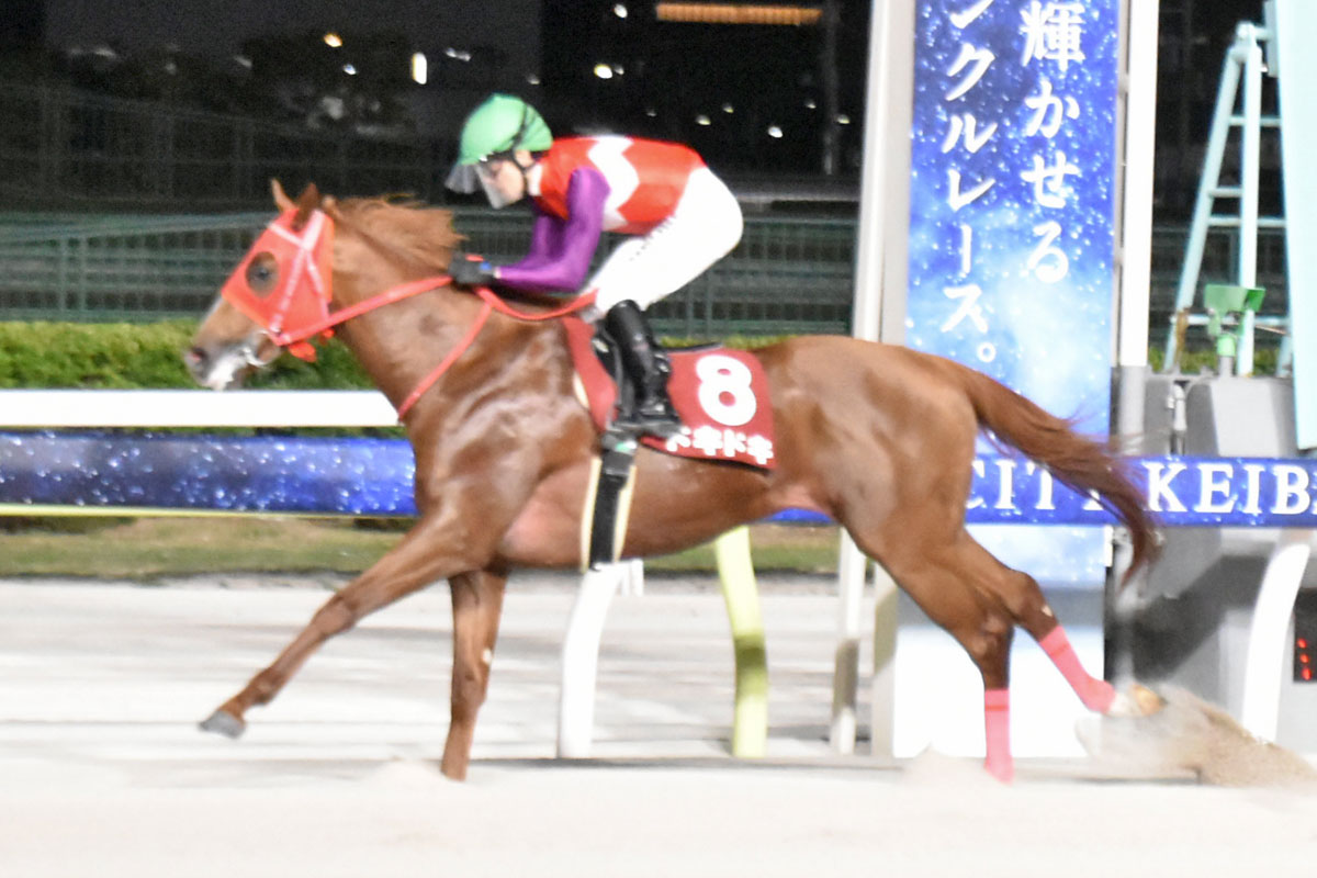 皐月賞18着のダノンタッチダウンはNHKマイルCで反撃へ 19年