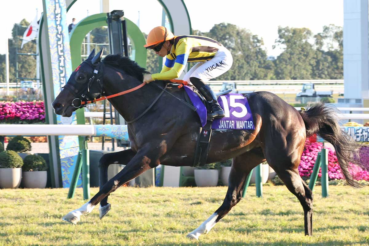 春の天皇賞馬ヘデントールの復帰は来年に【次走報】 | 競馬ニュース