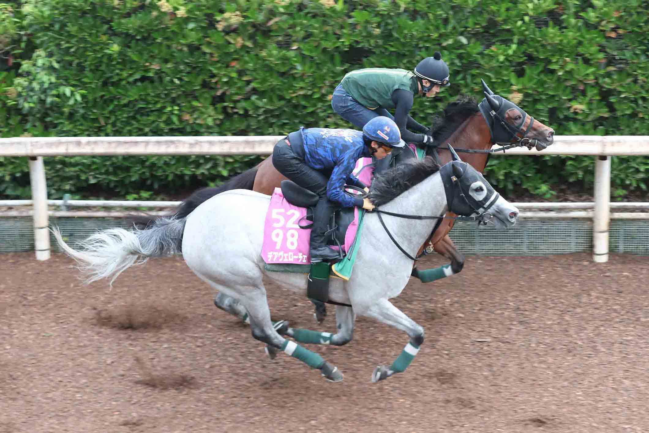 プレゼント】矢作厩舎〝JRA通算800勝〟特製記念グッズを大放出