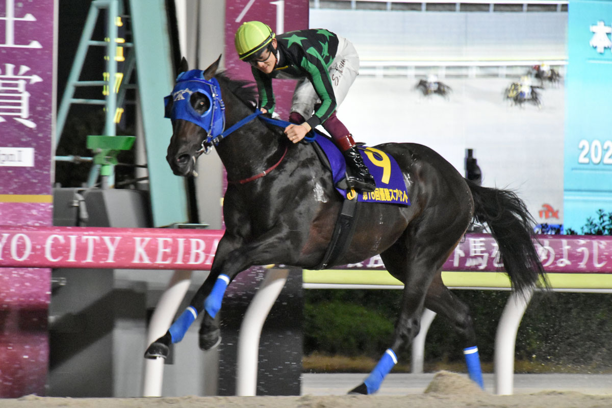 プレゼント】矢作厩舎〝JRA通算800勝〟特製記念グッズを大放出