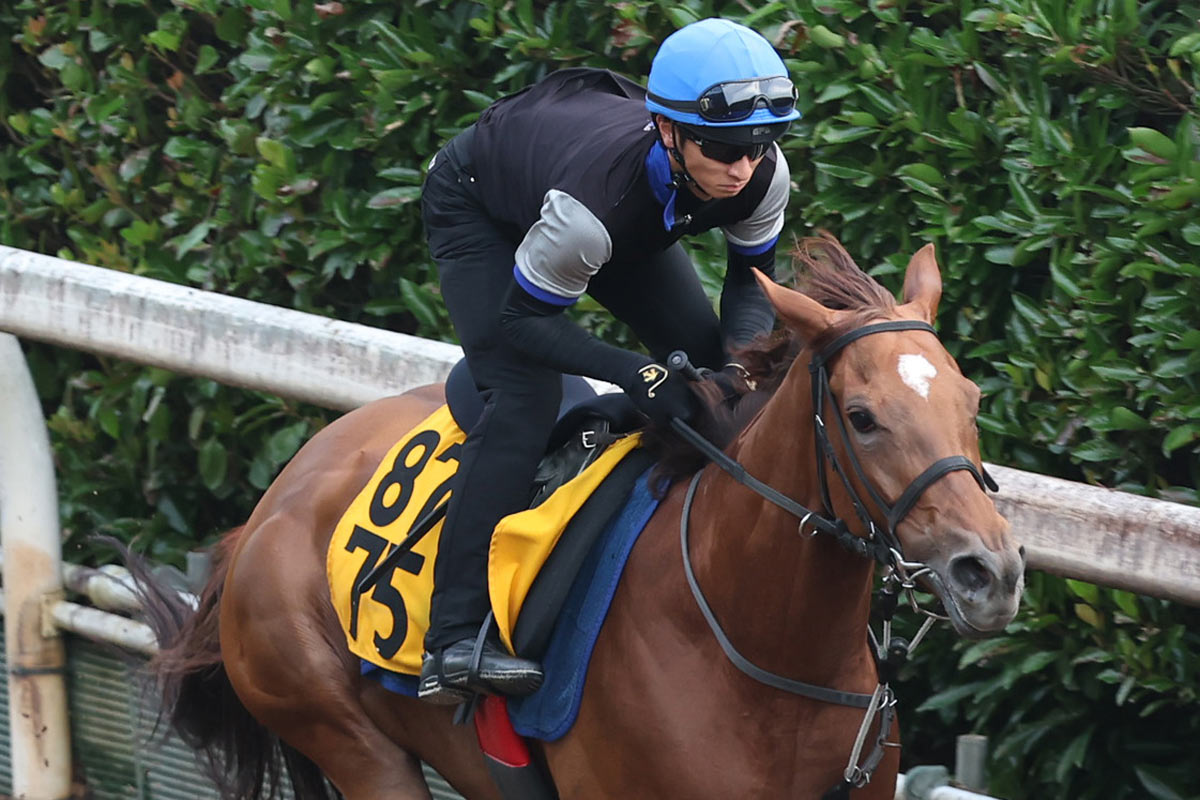 武豊×サイレンススズカ 伝説の金鯱賞〝復刻馬券〟にファン歓喜「絶対に