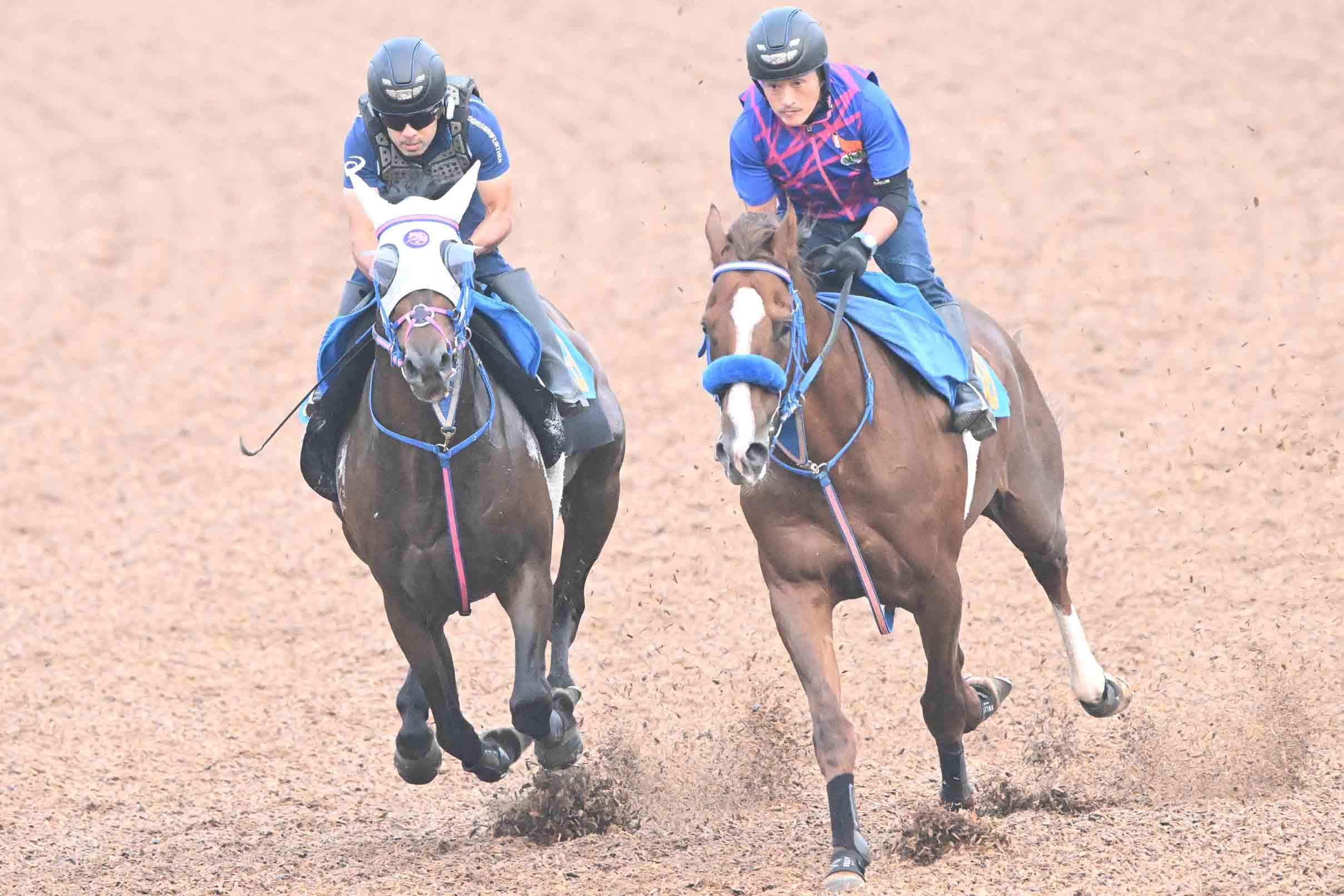 1998年有馬記念】「単勝14・5倍」のグラスワンダーが〝超早熟