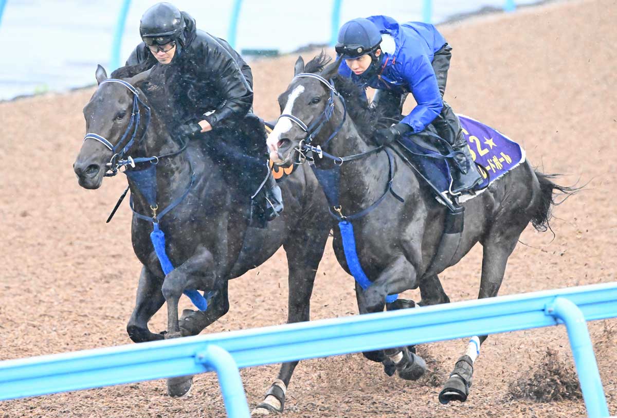 ドバイシーマクラシック】カランダガンが盤石の差し切り GⅠ・5連勝で