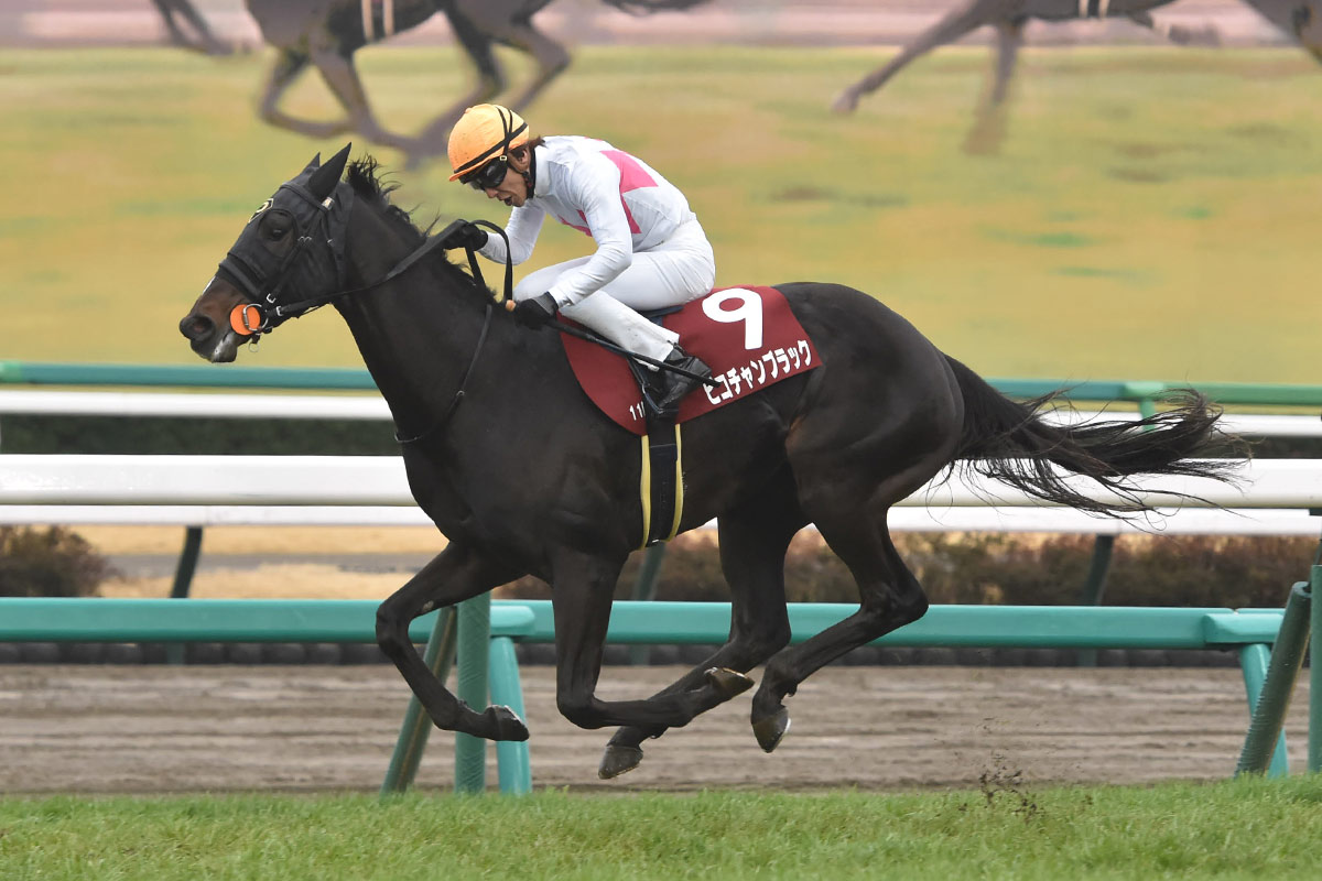 2歳新馬】フロムダスクがマッチレース制す 〝ウマ娘〟藤田晋オーナー