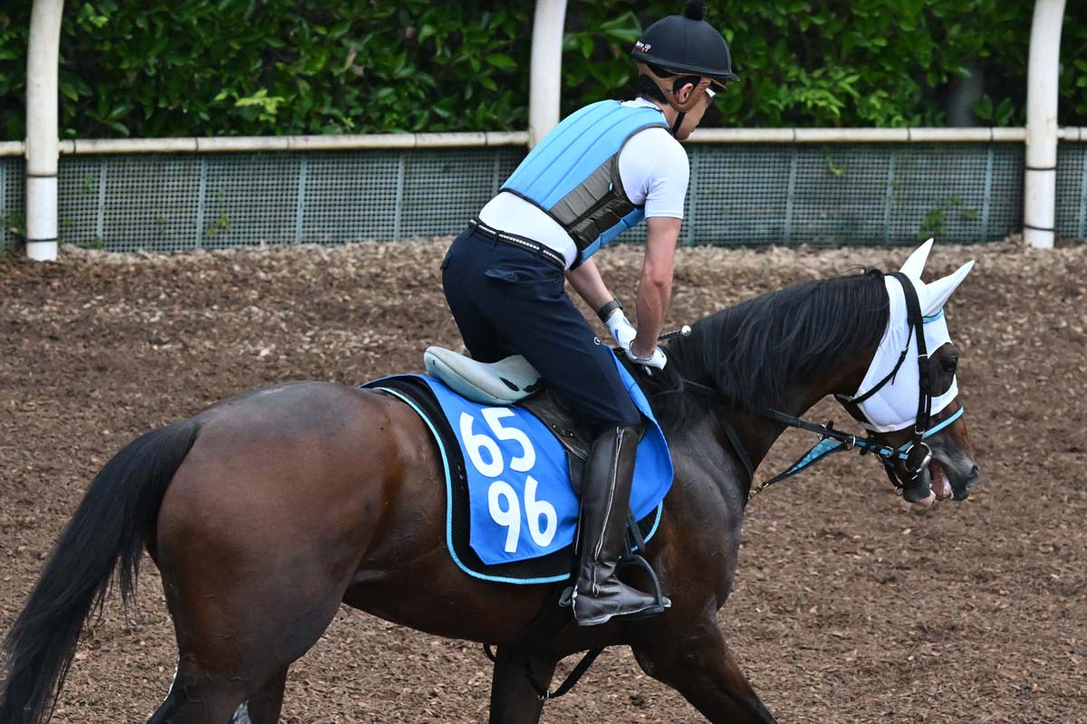 プレゼント】矢作厩舎〝JRA通算800勝〟特製記念グッズを大放出