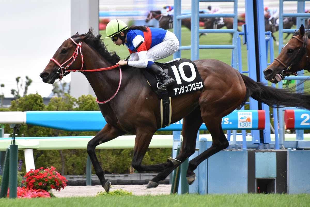 馬券の急所】日曜GⅡ・京都記念 過去には単勝1倍台の牝馬が敗れた