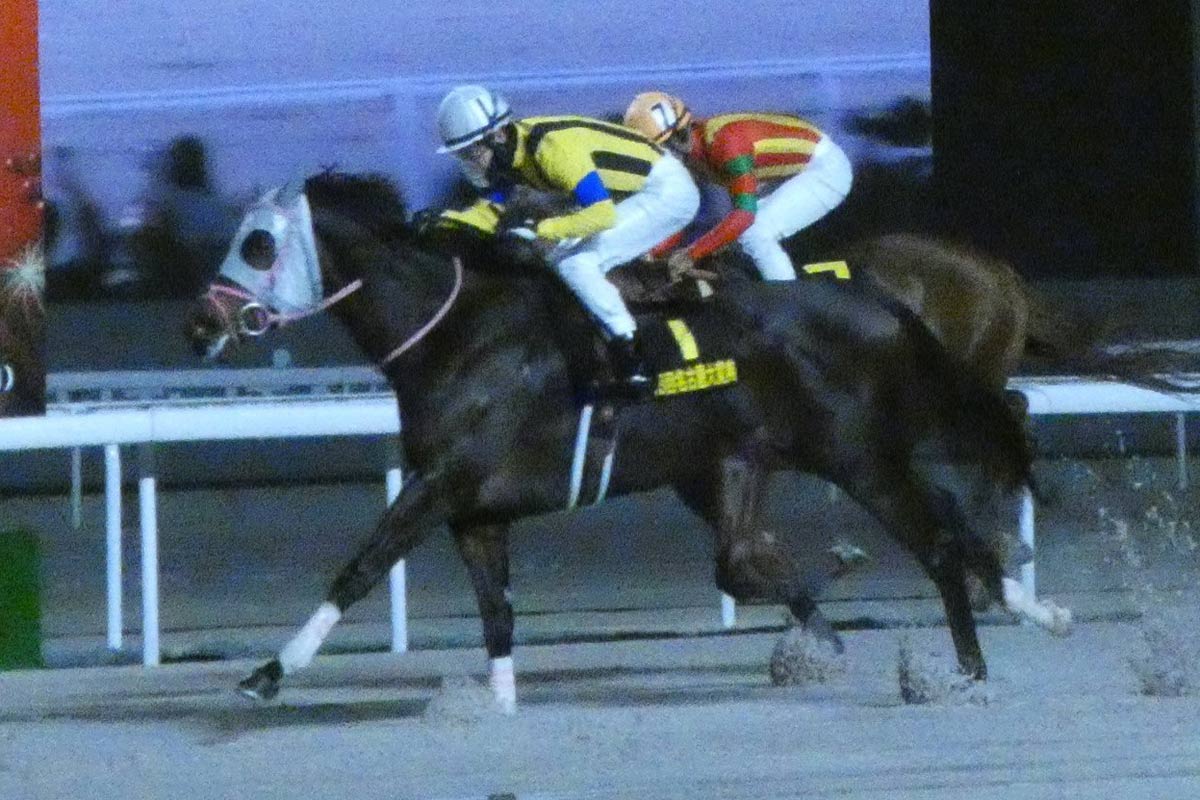 1998年有馬記念】「単勝14・5倍」のグラスワンダーが〝超早熟