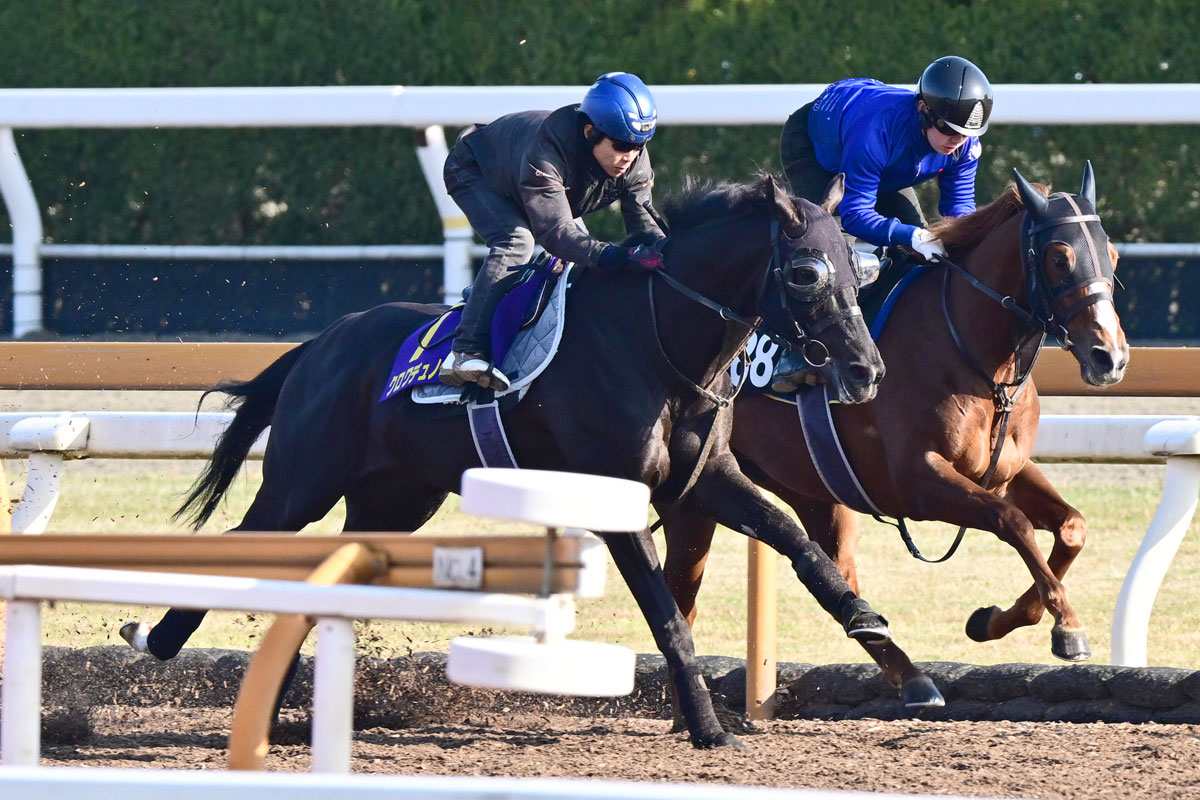 皐月賞追い切り】絶対王者クロワデュノールは北村友一を背にラスト11