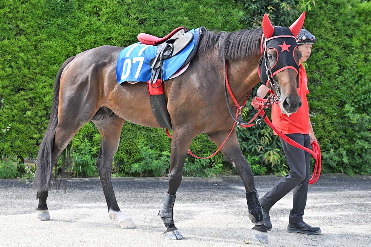 1988年有馬記念】芦毛対決！オグリキャップがタマモクロスに一矢報