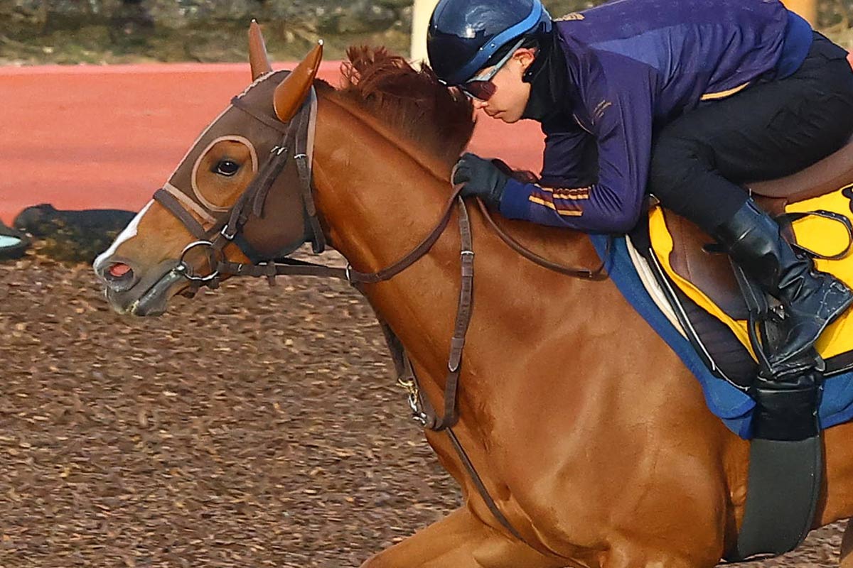 1998年有馬記念】「単勝14・5倍」のグラスワンダーが〝超早熟