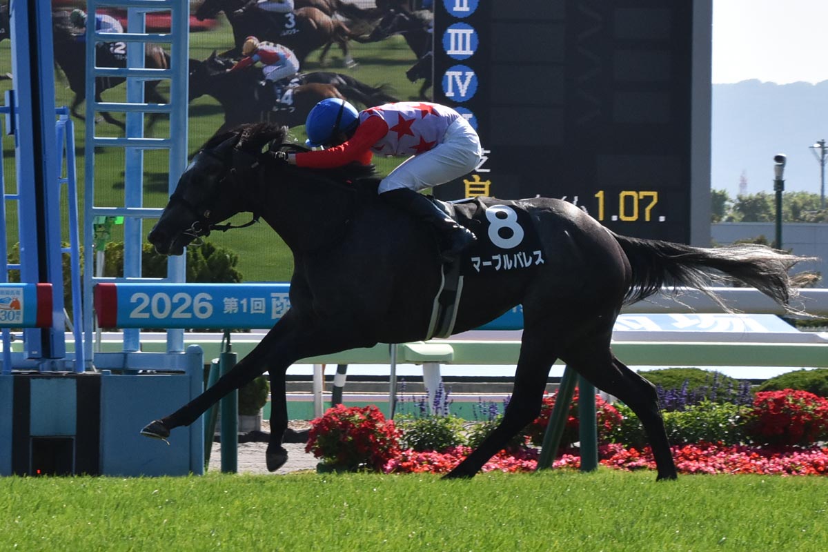 東スポ杯2歳S】イクイノックス「すごい加速」ルメールも舌巻く末脚