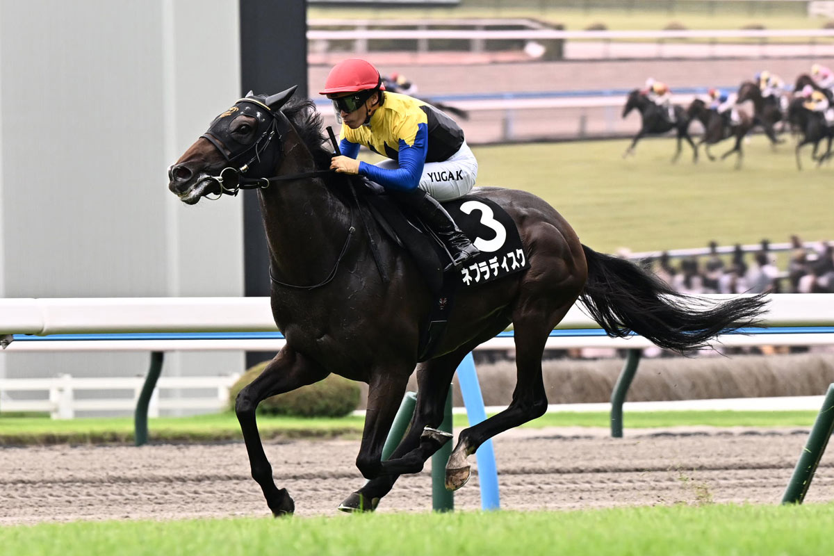 02年皐月賞馬ノーリーズン死す 25歳 抽選突破から単勝万馬券での劇