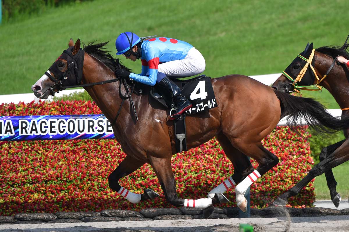 02年皐月賞馬ノーリーズン死す 25歳 抽選突破から単勝万馬券での劇
